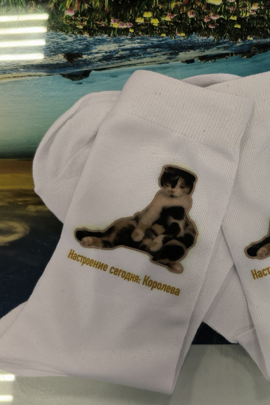sock01
